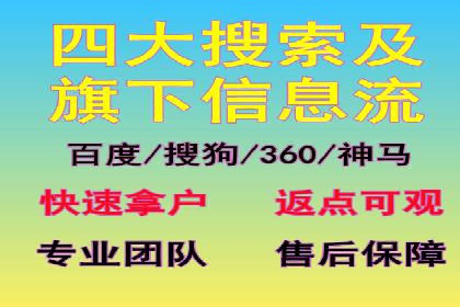SEM广告案例：数据分析驱动营销决策
